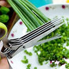 Multi-Functional Stainless Steel Kitchen Scissors – 5 Layers - kitchenly.pk